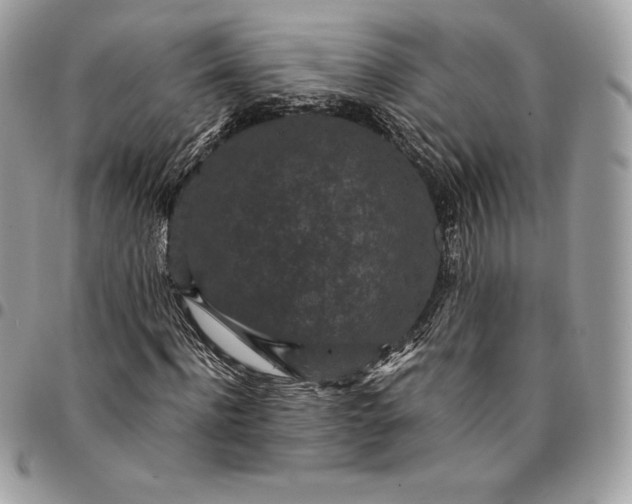 X0000095110916200712211317