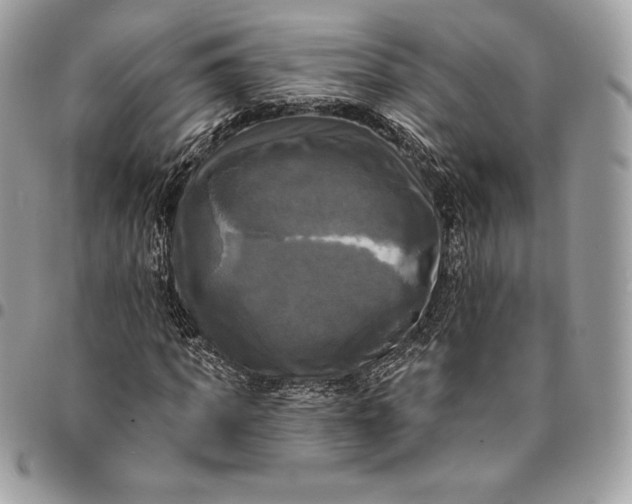 X0000095110917200712211317