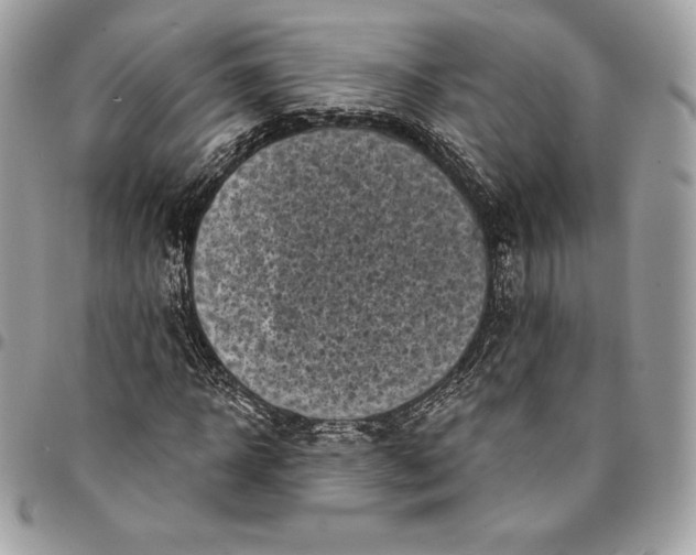 X0000095110918200712211317