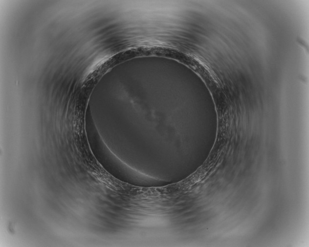 X0000095110919200712211317