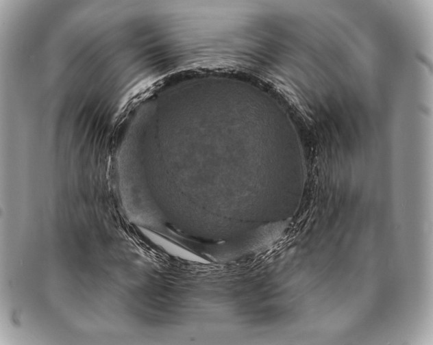 X0000095110920200712211317