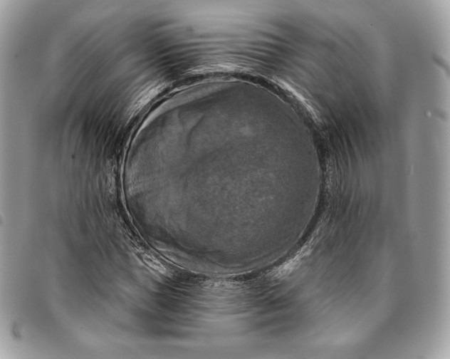 X0000095110921200712211317