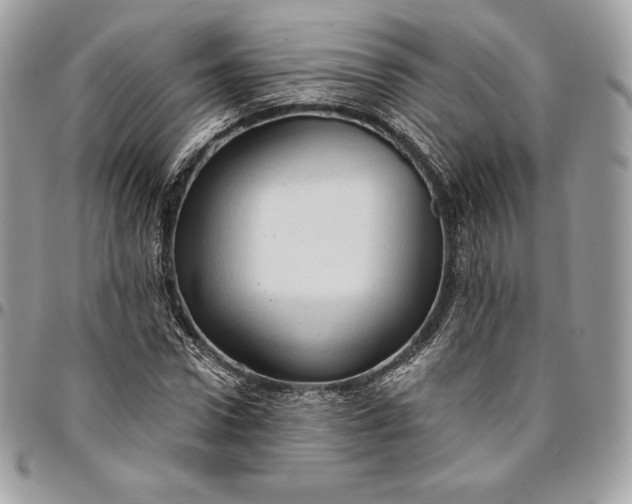 X0000095110922200712211317