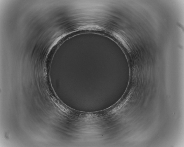 X0000095110923200712211317