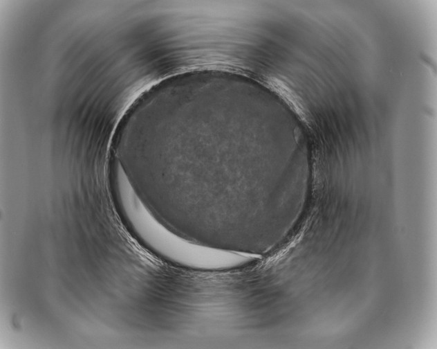 X0000095110924200712211317