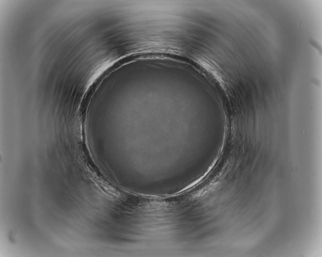 X0000095110925200712211317