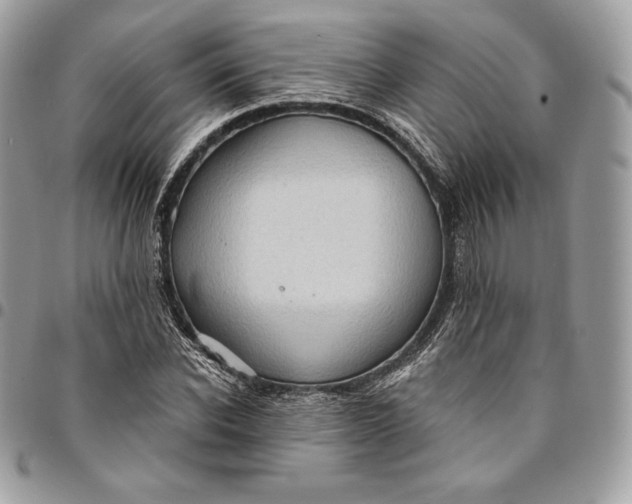 X0000095110926200712211317