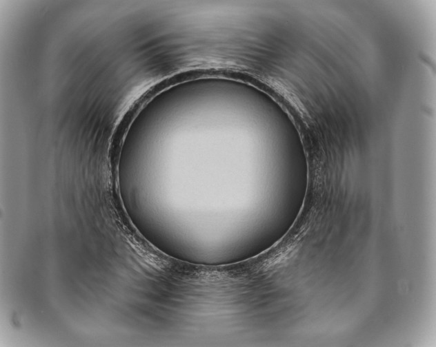 X0000095110927200712211317