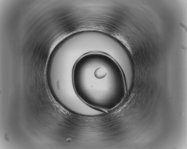 X0000095110928200712211317