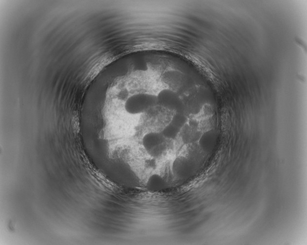 X0000095110929200712211317