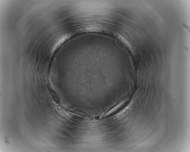 X0000095110930200712211317