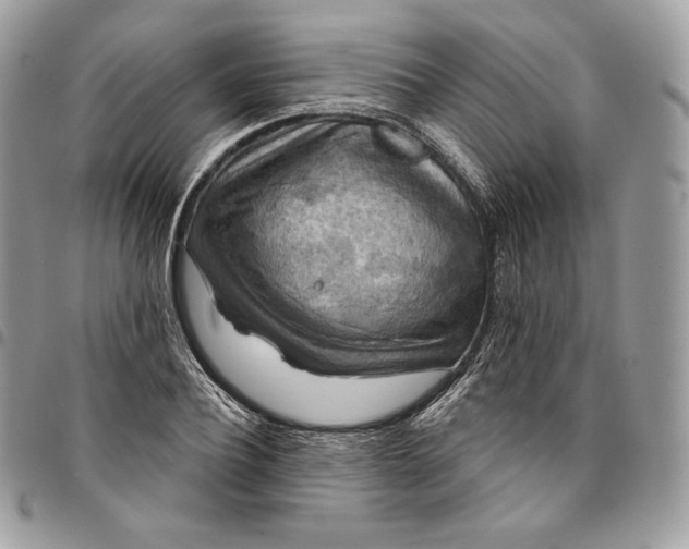 X0000095110932200712211318