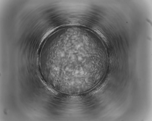 X0000095110933200712211318