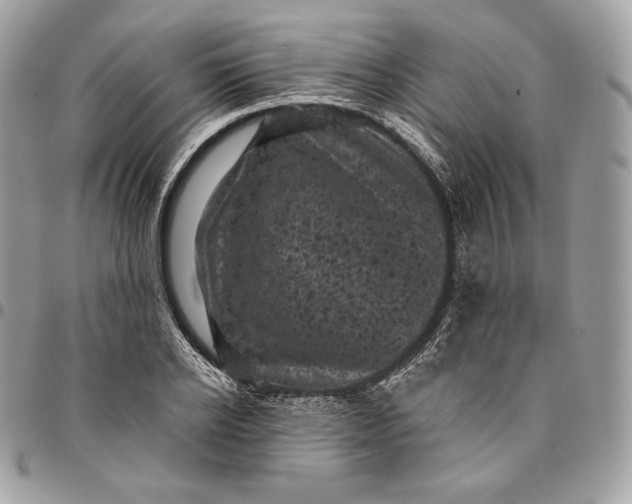 X0000095110934200712211318