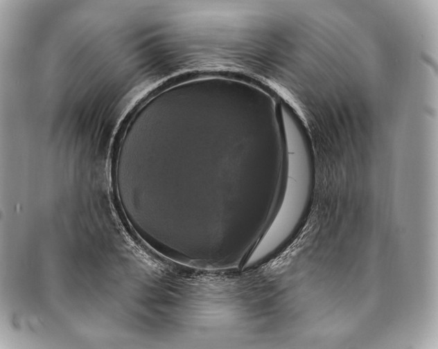 X0000095110935200712211318