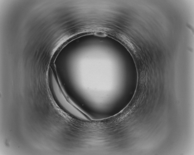 X0000095110936200712211318