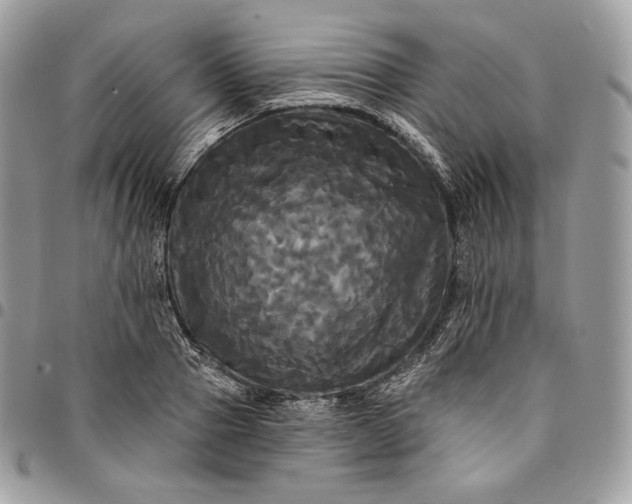 X0000095110937200712211318