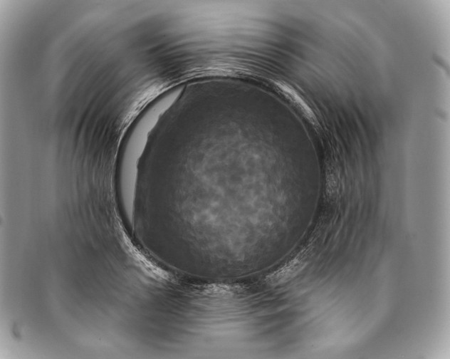 X0000095110938200712211318