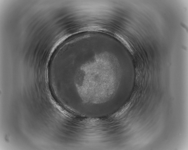 X0000095110939200712211318