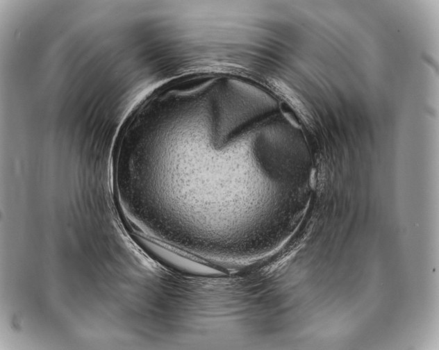 X0000095110940200712211318