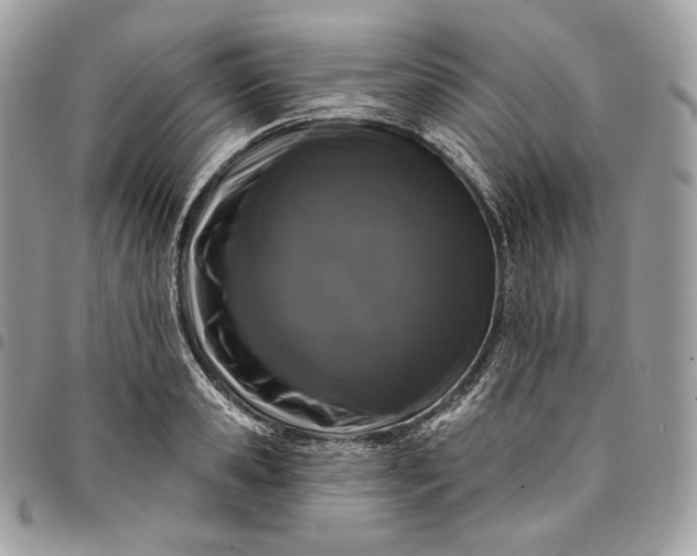 X0000095110941200712211318