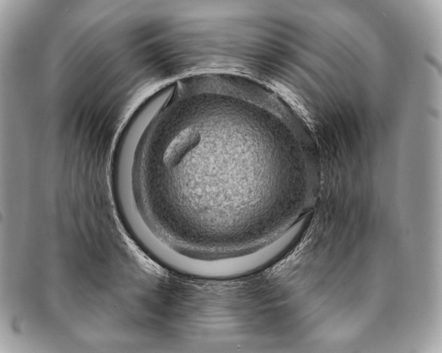 X0000095110942200712211318