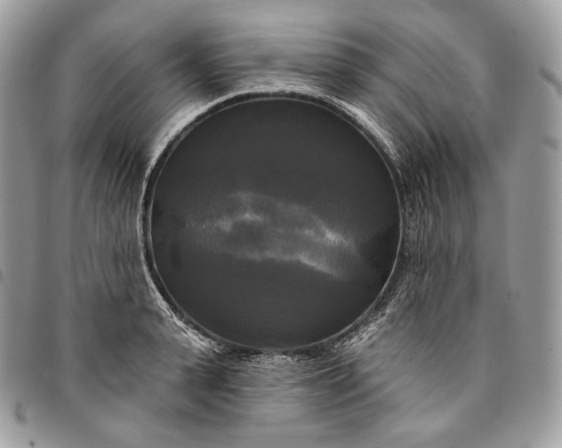 X0000095110943200712211318