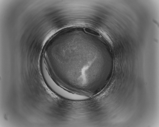 X0000095110944200712211318