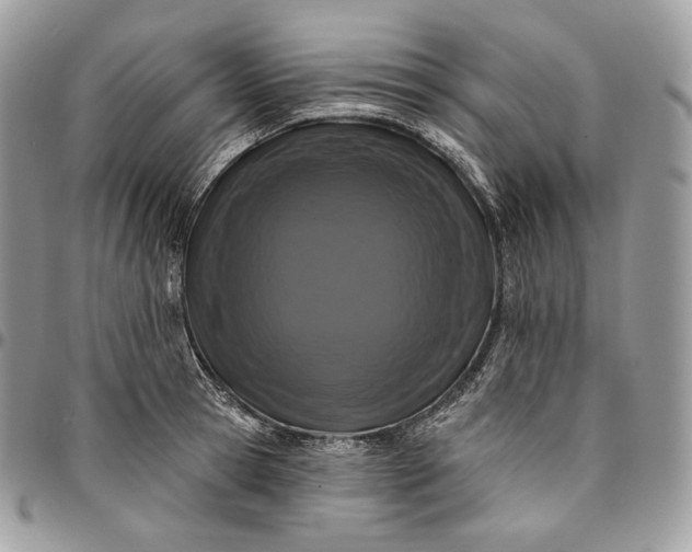 X0000095110945200712211318