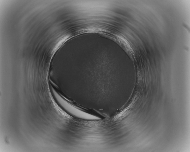 X0000095110946200712211318