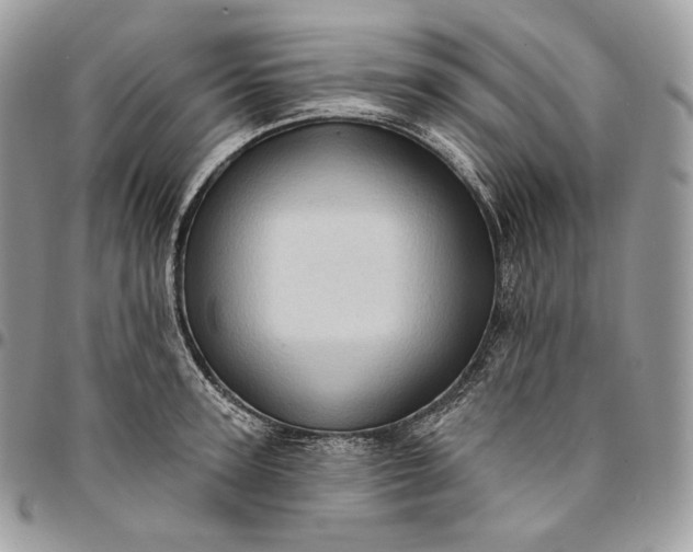 X0000095110947200712211318