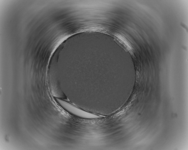 X0000095110948200712211318