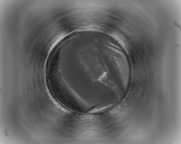 X0000095110949200712211318