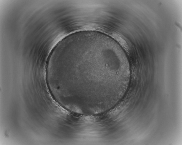 X0000095110950200712211318