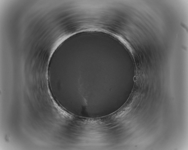 X0000095110951200712211318