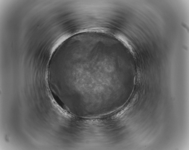 X0000095110952200712211318