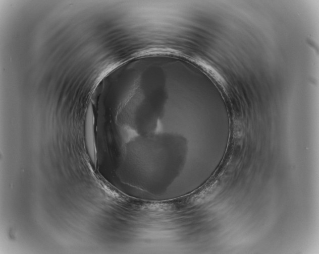 X0000095110953200712211318