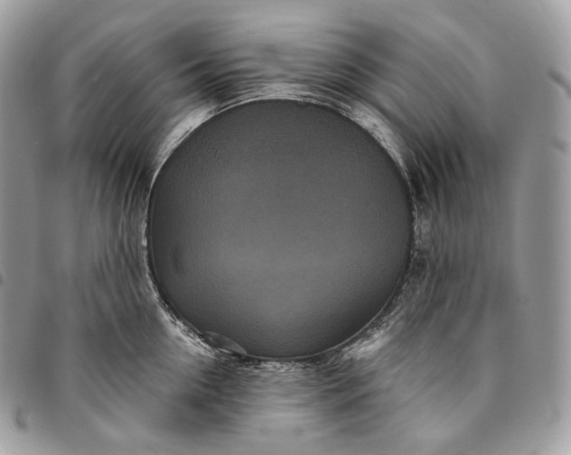 X0000095110954200712211318