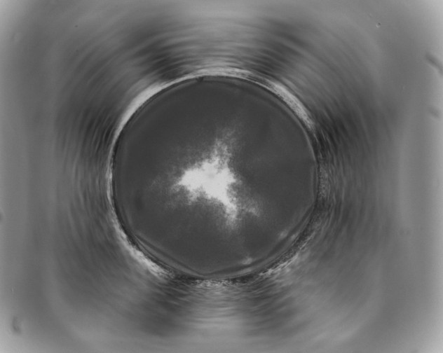 X0000095110955200712211318