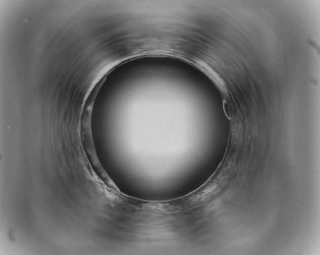 X0000095110956200712211318