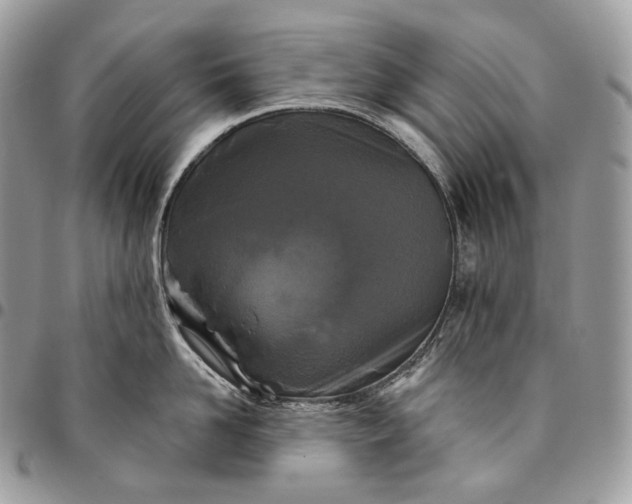 X0000095110958200712211318