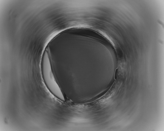 X0000095110959200712211318