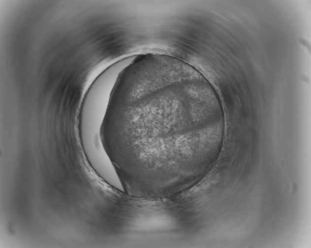 X0000095110960200712211318