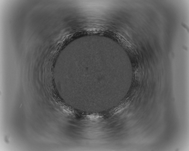 X0000095110961200712211317