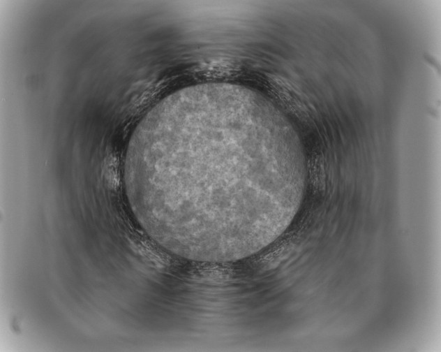 X0000095110962200712211317