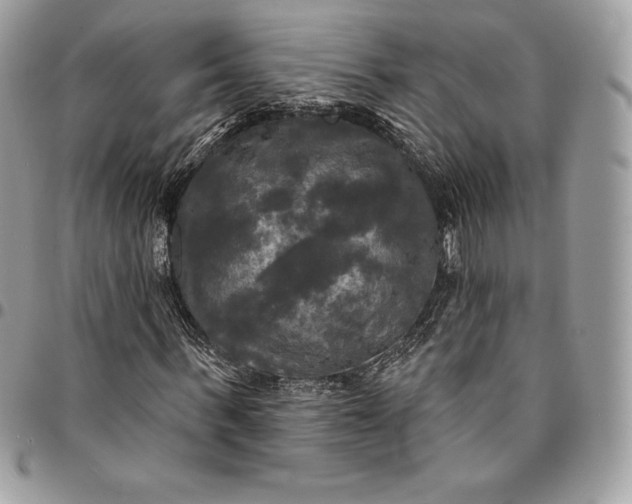 X0000095110963200712211317