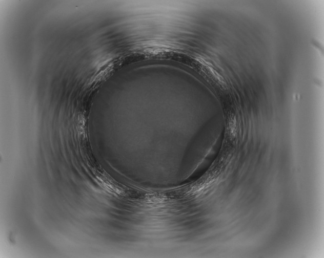 X0000095110964200712211317