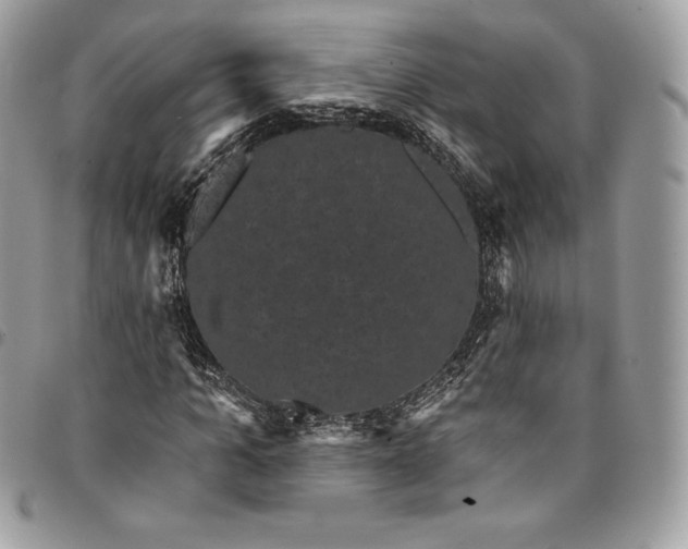 X0000095110965200712211317