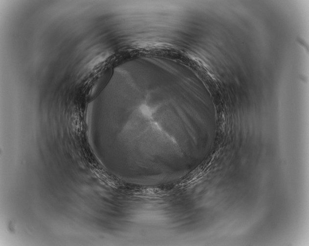 X0000095110966200712211317