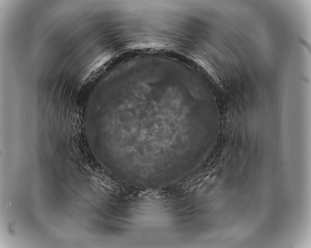 X0000095110967200712211317